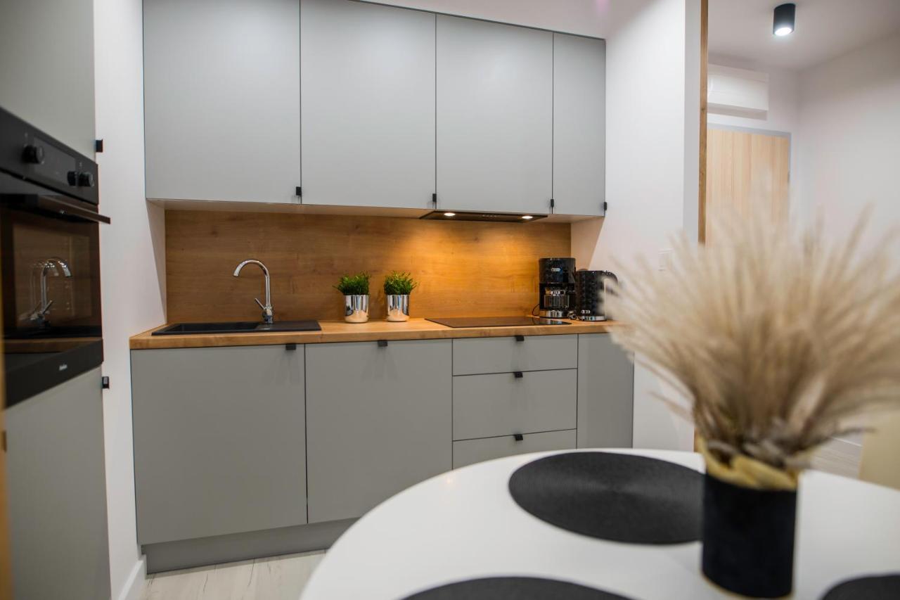 Nowoczesny Apartament Ludova ビスクピエツ エクステリア 写真